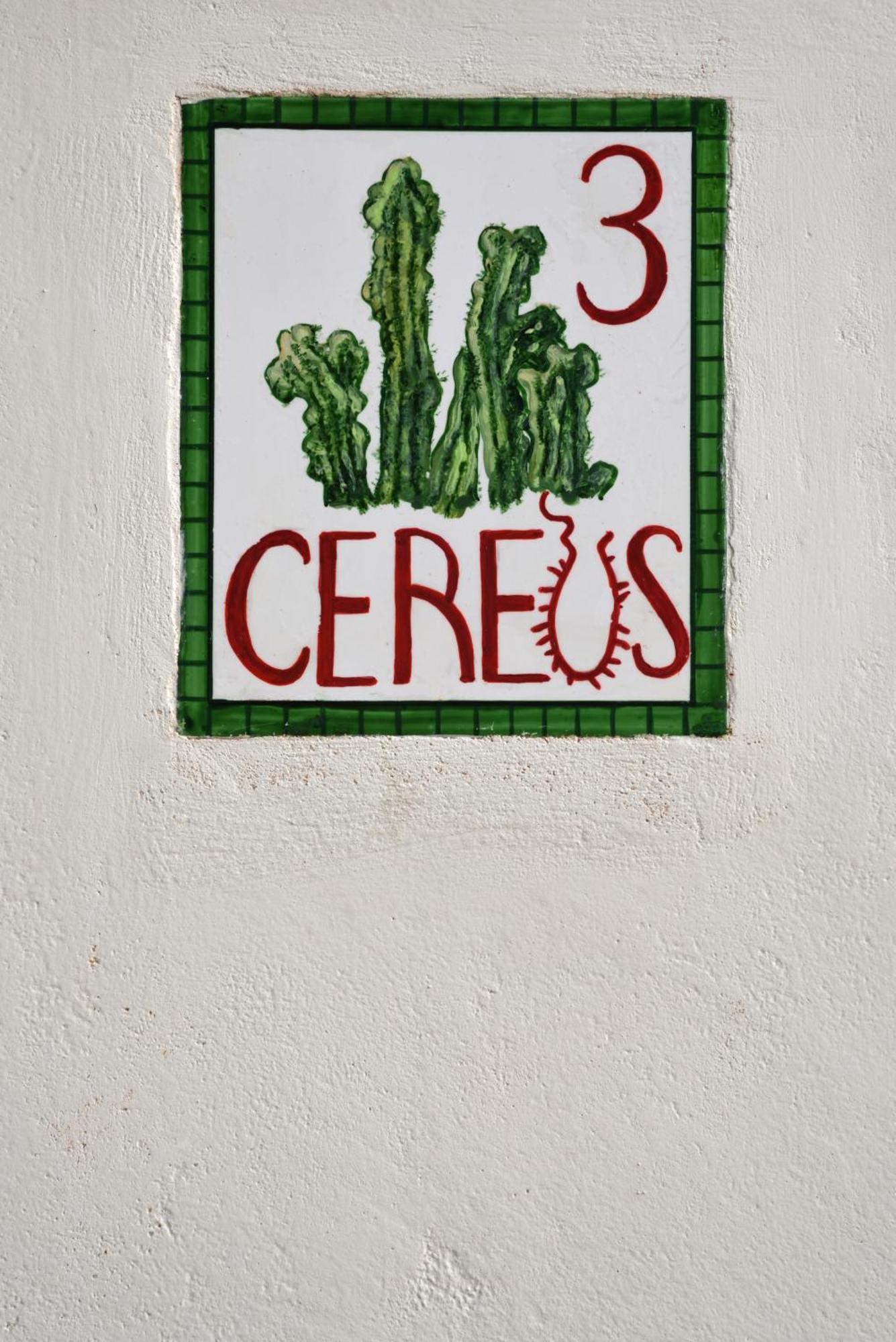 Cactus Hydra - Art Apartments Kamer foto